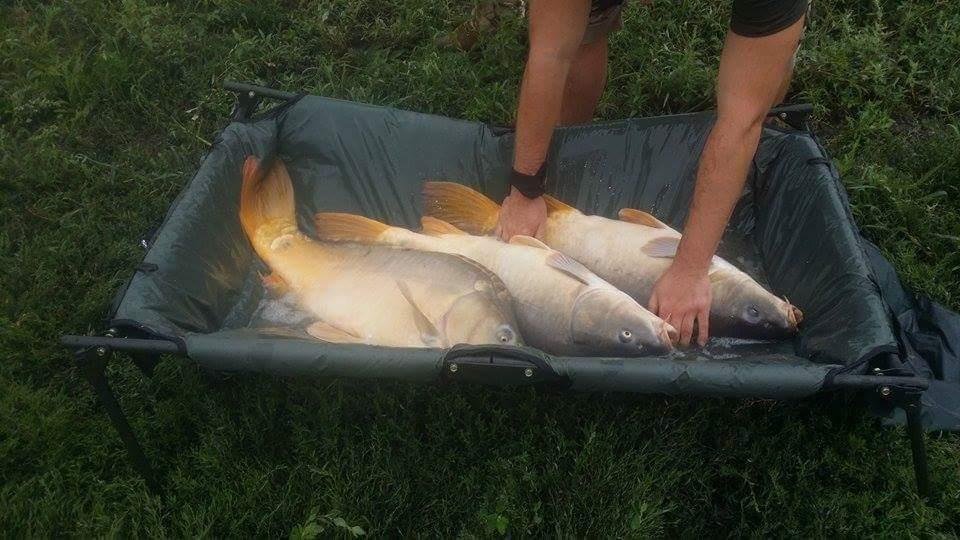 15-17.05.2015 - 1189988310135282620133265244632650528340267n.jpg